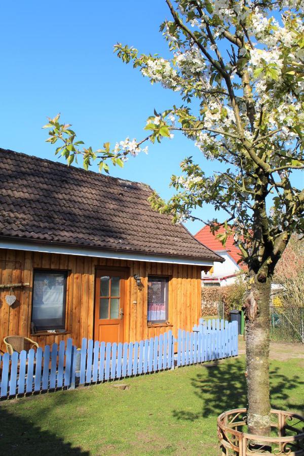Ferienhaus/Ferienwohnung Reinecke Hodenhagen Kültér fotó